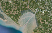 Baie de l'Aiguillon sur googlemap