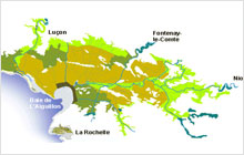 Plan marais Poitevin : délimitation zone humide - source forum des marais atlantiques