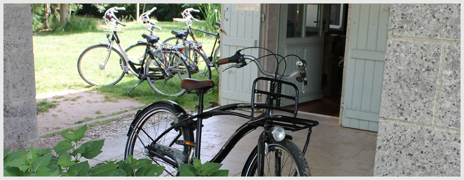 Parcourez nos circuits à vélo, une autre manière de contempler le Marais Poitevin.