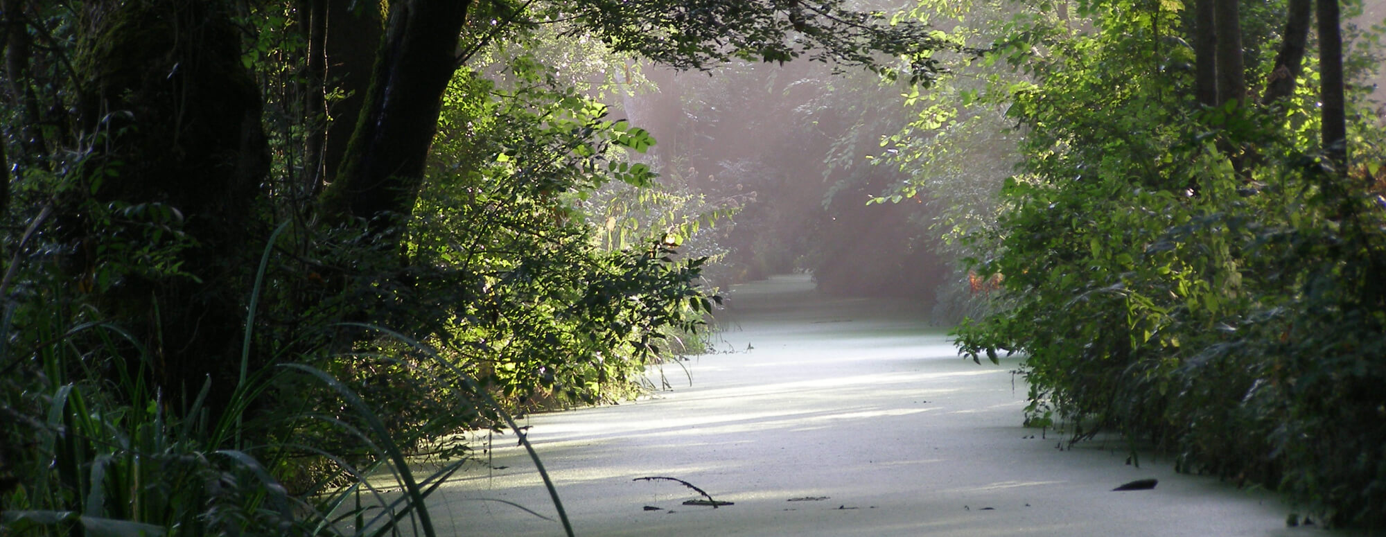 Tout au long de la journée le marais poitevin révèle ses secrets