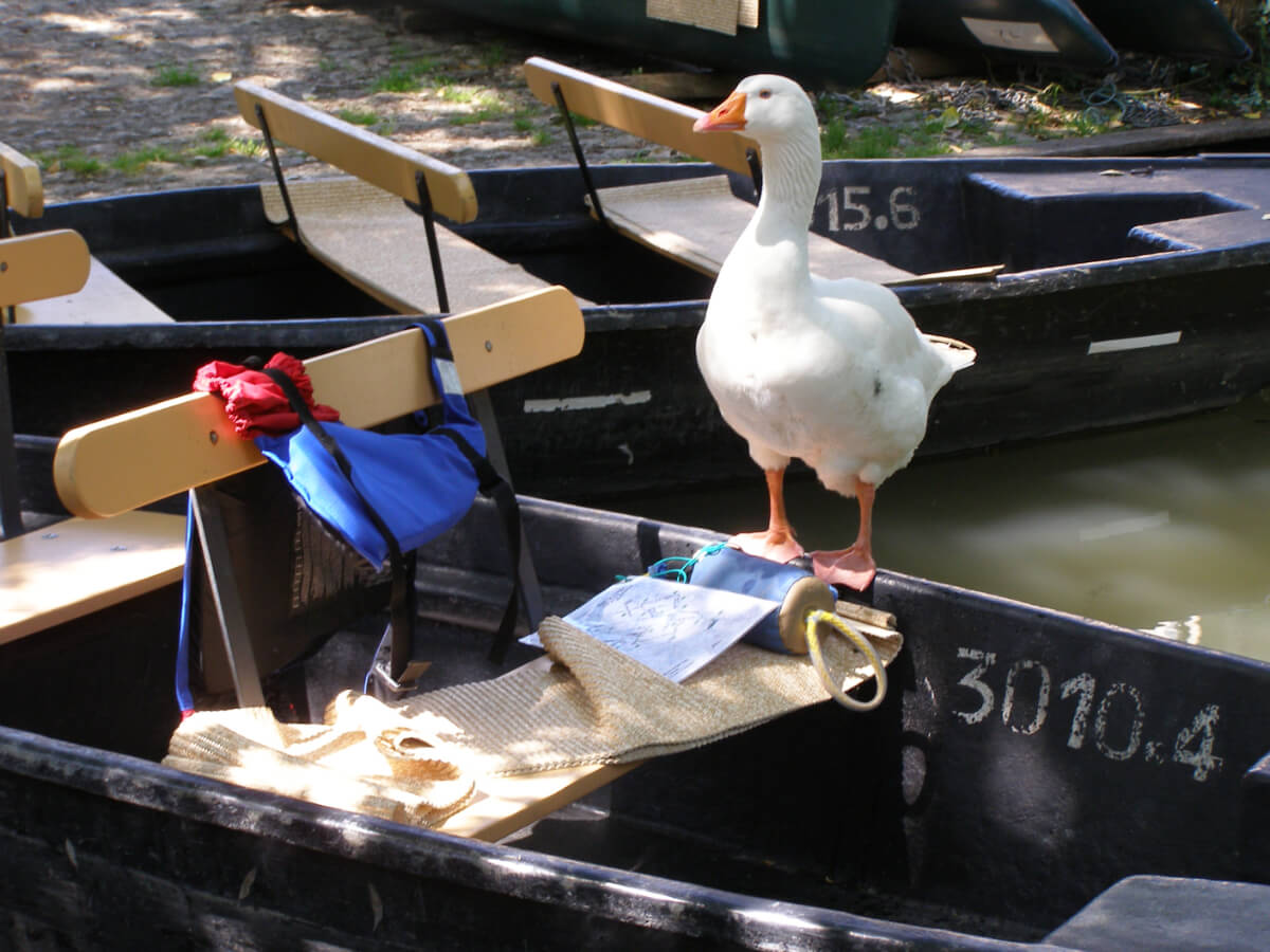 visite du marais poitevin sans guide